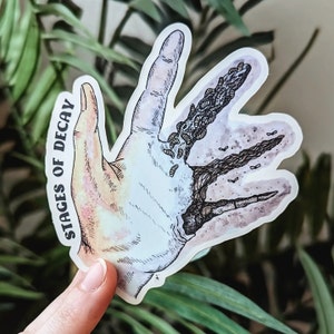 Stages of Decay Hand Sticker : Vinyl Decal - Hand Drawn - Forensic Science - Crime Scene - True Crime - Autopsy - Decomposition