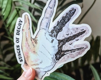Stages of Decay Hand | Sticker & Magnet by Skye Rain Art | Forensic Science | Pathology | Medicine | Autopsy | Decomposition