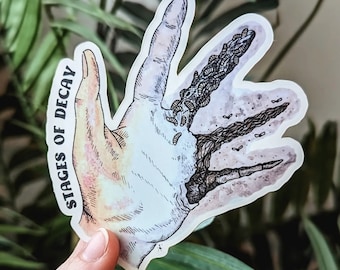 Stages of Decay Hand Sticker : Vinyl Decal - Hand Drawn - Forensic Science - Crime Scene - True Crime - Autopsy - Decomposition