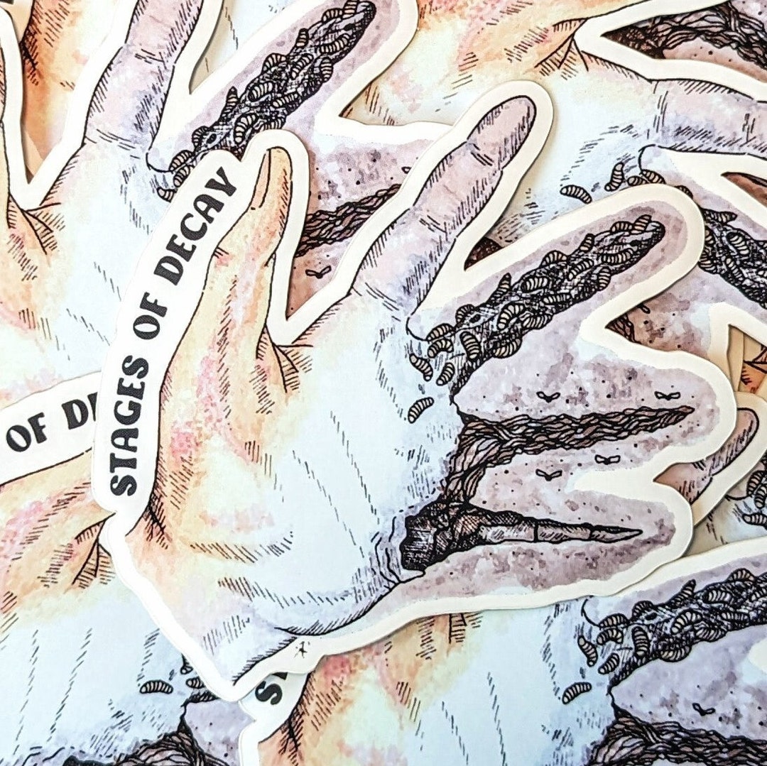 Stages of Decay Hand Sticker & Magnet by Skye Rain Art - Etsy Portugal