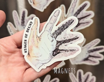 Etapas de la descomposición: Imán de mano: Crímenes reales y ciencia forense