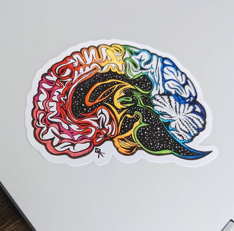 Sticker rainbow Brain Human Anatomy Waterproof Vinyl Neurology Medical