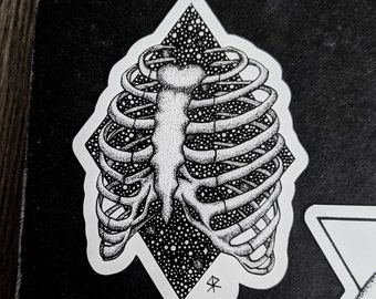 Hand-Drawn Vinyl Sticker - Cosmic Ribcage - Anatomy - Waterproof Decal - Original Artwork