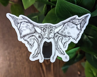May include: A black and white sticker featuring a detailed illustration of a sphenoid bone. The sticker has a white border and is placed against a background of green leaves and a wooden surface. The illustration is a detailed anatomical drawing.