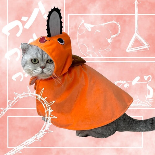 anime cat costumes