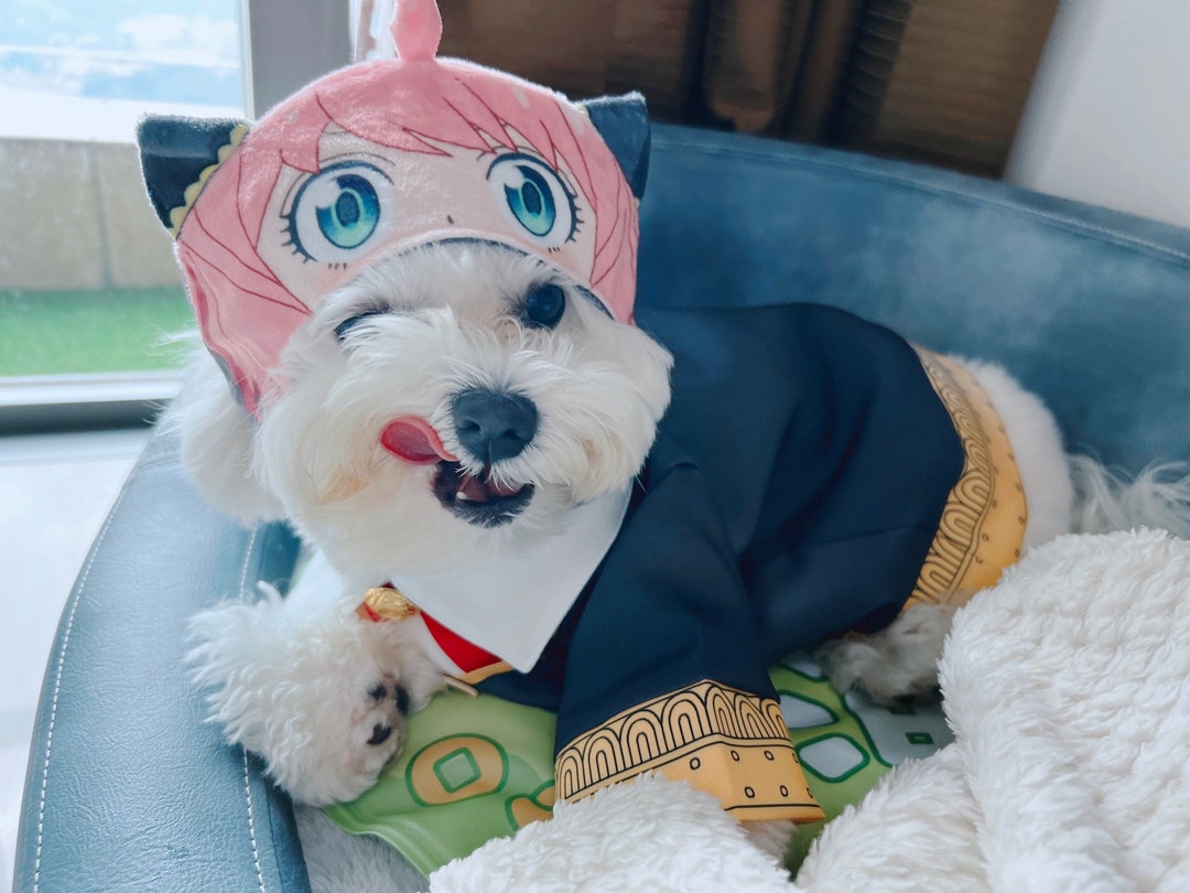 Buy Stylish Bleach Japanese Anime Series Dog Jackets S Online at  desertcartINDIA