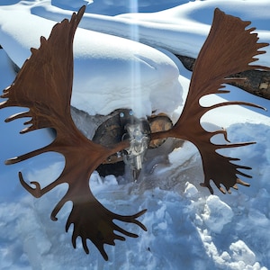 Hand forged steel moose antlers