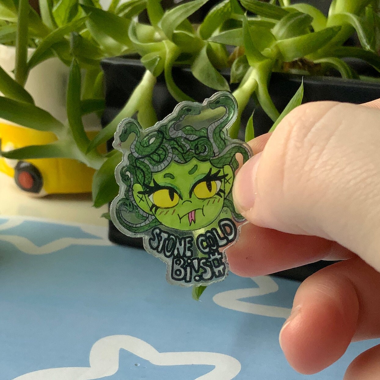 Stone Cold Bish Acrylic Pin - Etsy