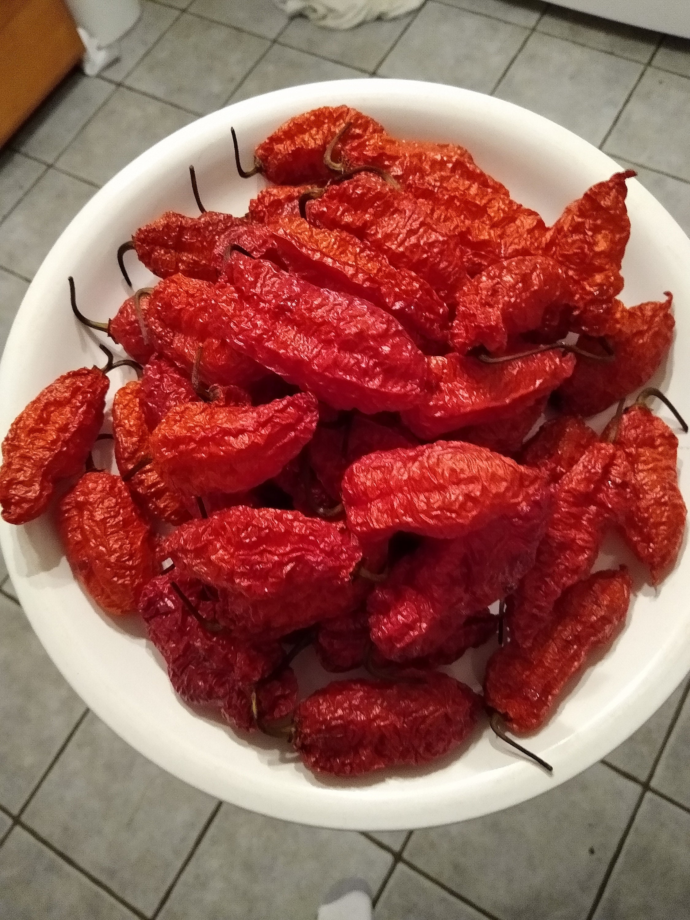 Ghost Pepper Dried Pods 25 Pods Etsy