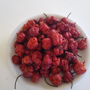 Trinidad Moruga Scorpion Pepper Dried  Pods  25 Pods