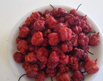 Trinidad Moruga Scorpion Pepper Dried Pods 100 Pods