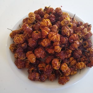 YELLOW SCOTCH BONNET Pepper Dried Pods  15 Pods