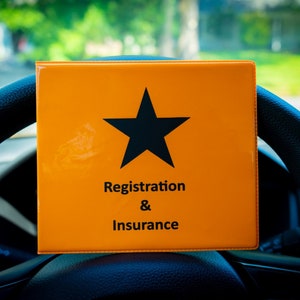 NOGIS Car Registration and Insurance Holder Registration and Insurance Card  Holder Car Essentials for Women Car Insurance and Registration Card Holder