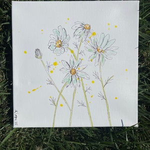 10 x 10 daisies