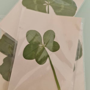 70 Best Four Leaf Clover Tattoo Ideas and Designs  Lucky Plant 2019