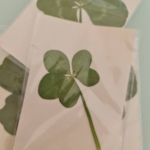 1 Five Leaf Clover, Unique Lucky Charm