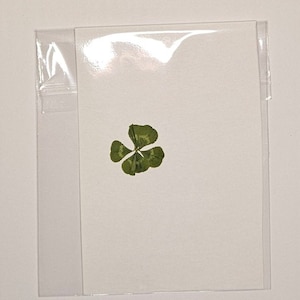 1 Six Leaf Clover, Unique Lucky Charm