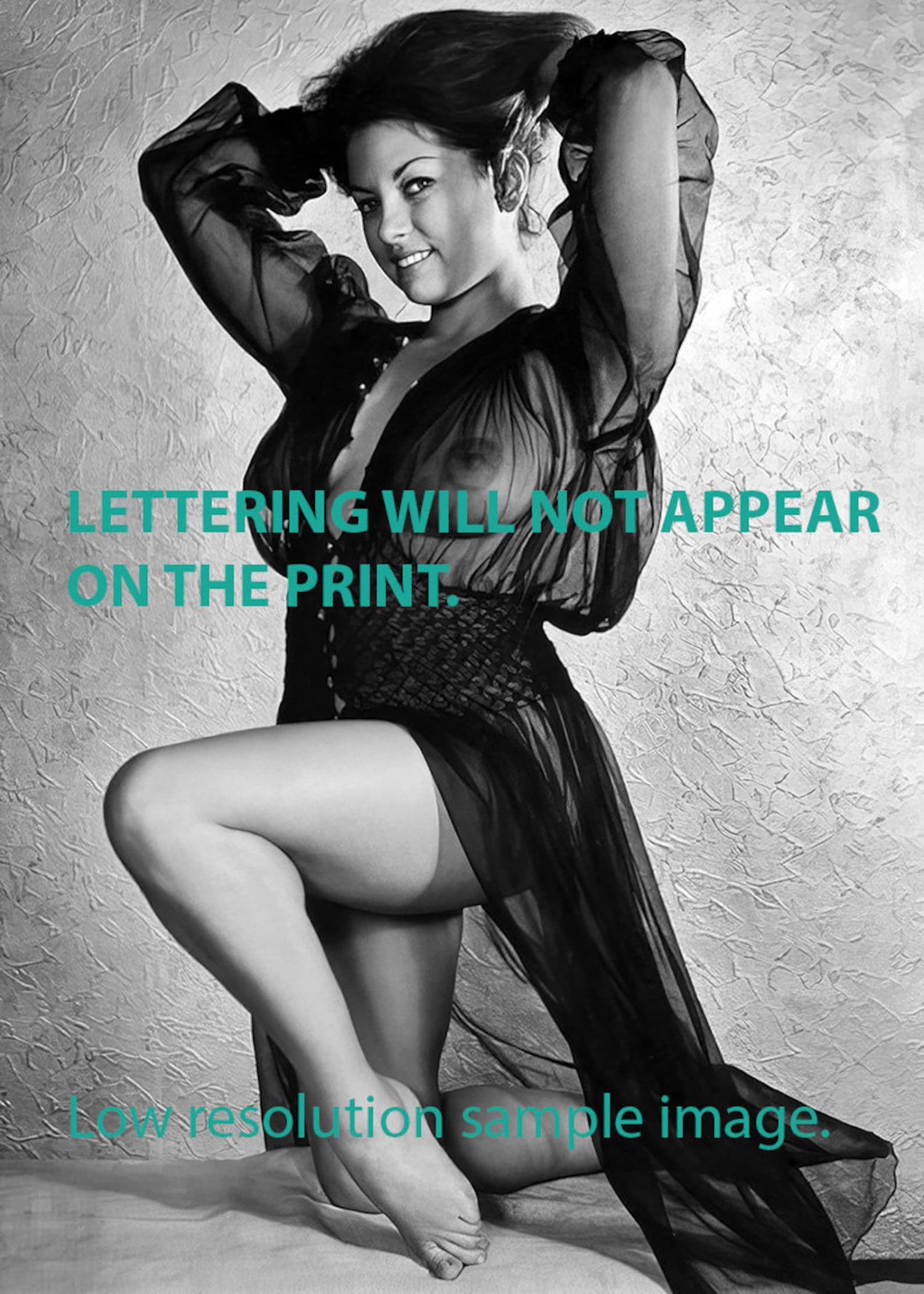 1960's Nude June Palmer Lingerie Photo, Sexy June Palmer Nude Pinup