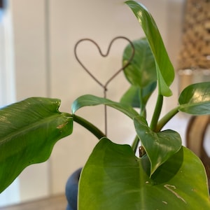 Small Copper Heart Plant Stake, Indoor Plant Stake, Outside Plant Stake, Copper Garden Stake