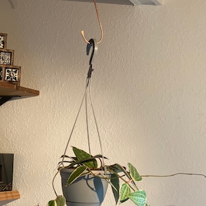 Copper Plant hook, plant hangers