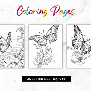 May include: Three black and white colouring pages featuring butterflies and flowers. The pages are 8.5 inches by 11 inches.