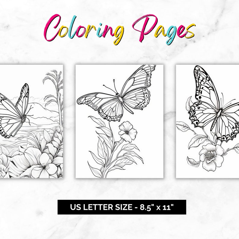 May include: Three black and white colouring pages featuring butterflies and flowers. The pages are 8.5 inches by 11 inches.