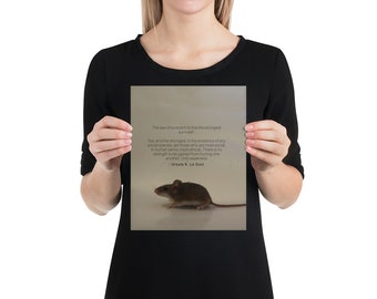 African Pygmy Mouse Poster