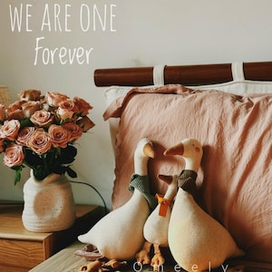 Può includere: Tre peluche a forma di oca bianche con occhi marroni e becchi arancioni sono sedute su un letto con una coperta color pesca. Le oche indossano sciarpe marroni e verdi. Il testo "WE ARE ONE Forever" è scritto sul muro dietro le oche.