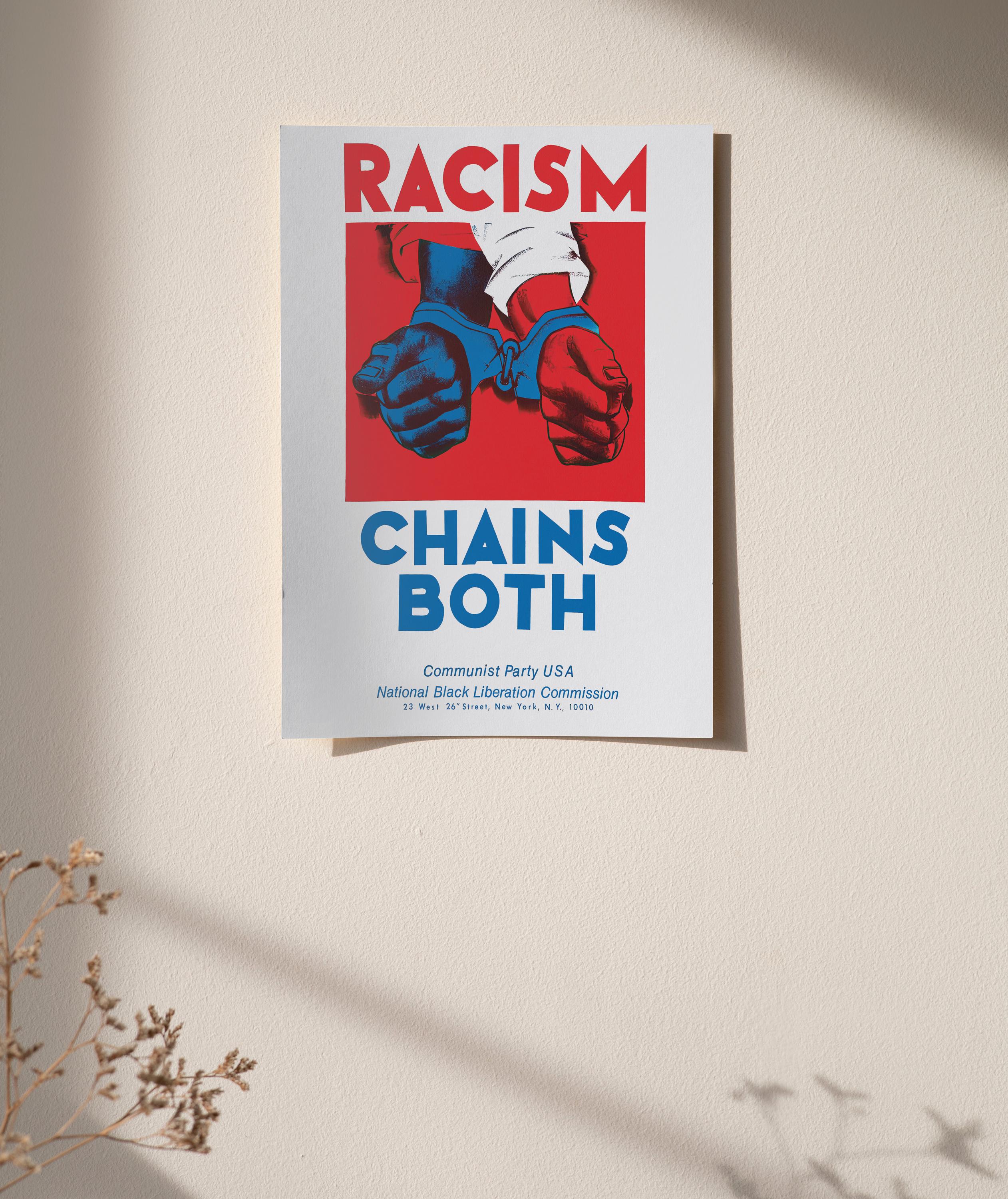 Anti-racism Poster: 