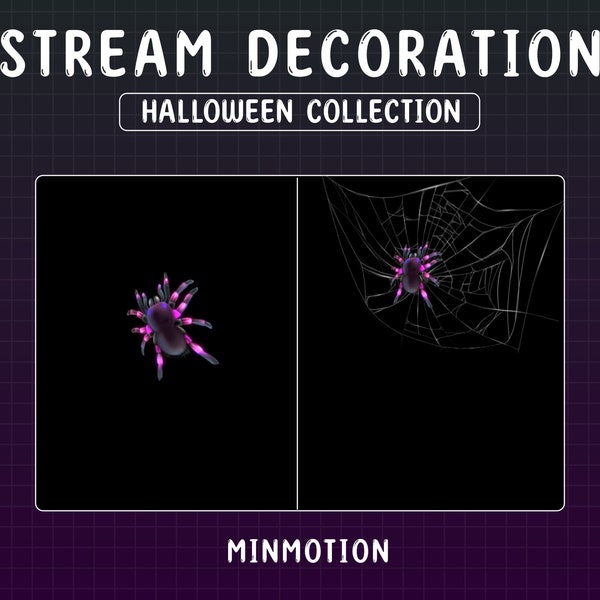 Animated Stream Decoration Witch Spider  / Cute Witchcraft / Kawaii Ghost / Fall Sublimation / Halloween Animaton / Graphics For Streamer