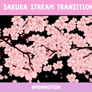 Animated Sakura Stream Transition / Kawaii Pink Cherry Blossom / Scenes Stinger / Twitch Overlay / Stream Graphics / Streamer / Stream