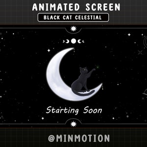 Animated Black Cat Twitch Stream Screen / Celestial Night Overlays / Streamer Graphics / Moon / Stars / Sky /Kitty / Tarot / Cute Scenes