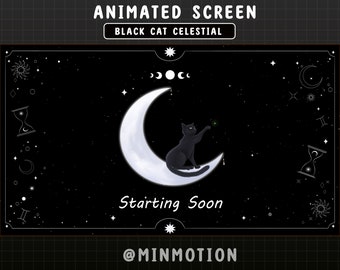 Animated Black Cat Twitch Stream Screen / Celestial Night Overlays / Streamer Graphics / Moon / Stars / Sky /Kitty / Tarot / Cute Scenes