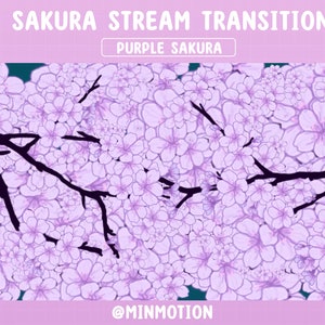 Animated Purple Sakura Stream Transition / Kawaii Purple Cherry Blossom / Scenes Stinger / Twitch Overlay / Stream Graphics / Streamer