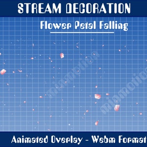 May include: Animated overlay with pink flower petals falling on a blue grid background. The text "STREAM DECORATION" and "Flower Petal Falling" is at the top of the image. The text "Animated Overlay - Webm Format" is at the bottom of the image.