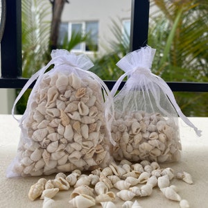 Bags of Small Real Conch Sea Shell 200+ Loose White Creamy Cowrie Natural Whelk Cone Boho  Craft, Decor, Bulk Shells, Beach Ocean Wedding