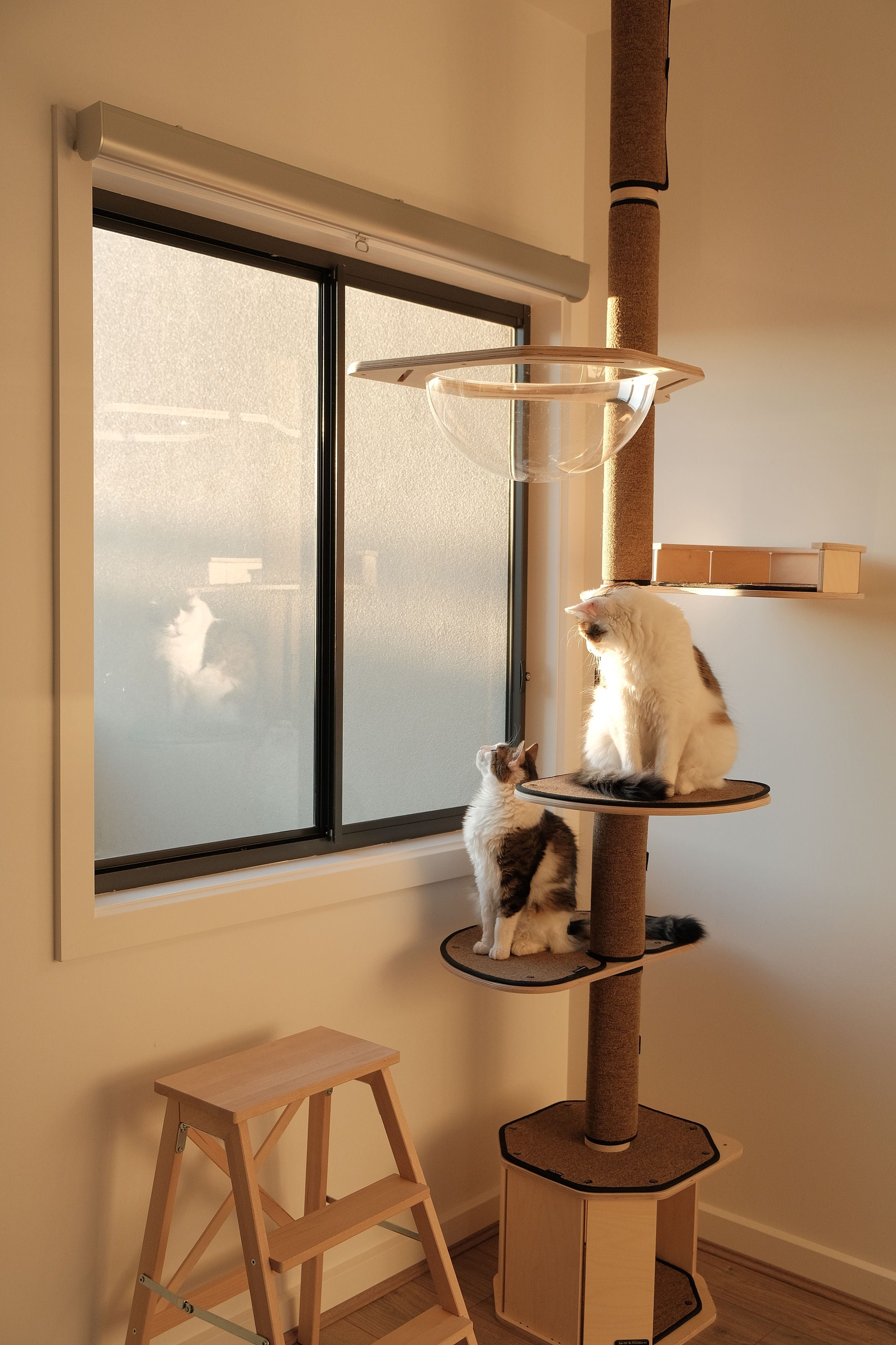 Floor-to-ceiling Cat Pole - Etsy