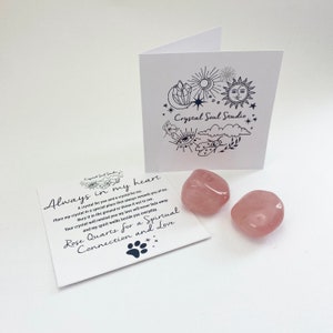 Può includere: Un biglietto bianco con testo nero che recita "Always in my heart" e "Rose Quartz for a Spiritual Connection and Love". Il biglietto è accanto a due pietre di quarzo rosa. Il biglietto ha anche una piccola impronta di zampa.