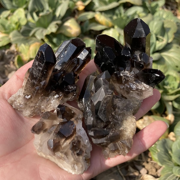 50g+ Natural Black Quartz Cluster raw gemstone,home decoration,Quartz crystal ore,Crystal collection,Mineral specimens,Reiki Healing 1PC