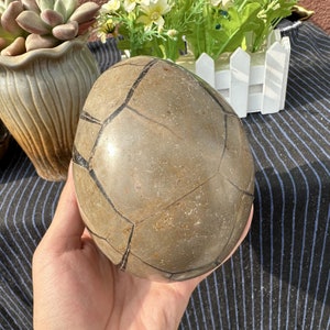 1kg Natural Septarian Dragon Egg,Crystal egg,septarian geode,Home Decoration,energy crystal,Mineral Specimen,Reiki Healing,Crystal Gifts image 8