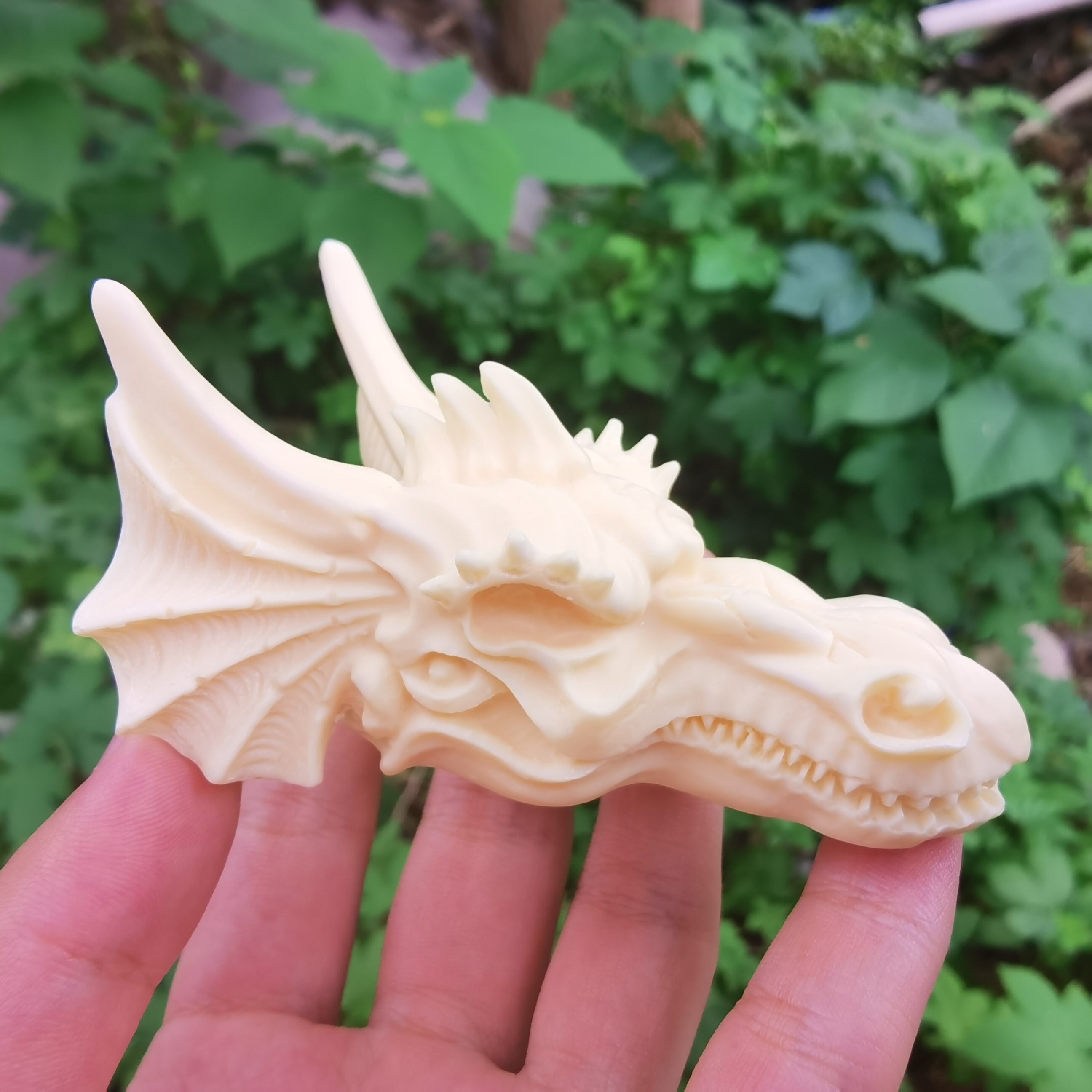 One Natural Ivory Nut Dragonivory Fruit Carvingreiki Etsy