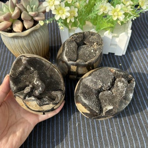 1kg Natural Septarian Dragon Egg,Crystal egg,septarian geode,Home Decoration,energy crystal,Mineral Specimen,Reiki Healing,Crystal Gifts image 1