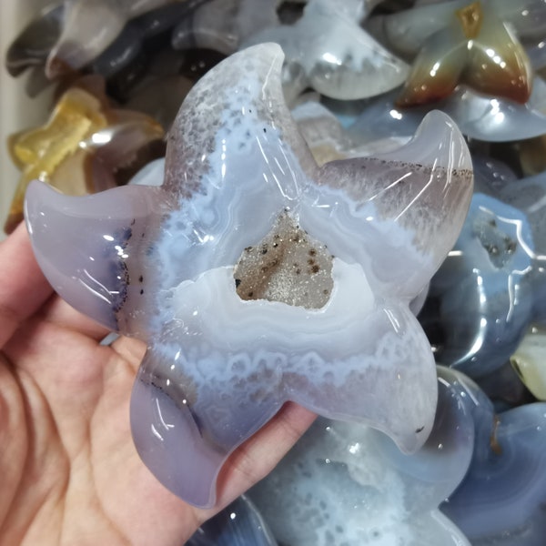 Étoile de mer géodes en agate naturelle, Étoile de mer en cristal, cadeau en cristal, spécimen minéral, sculpture sur cristal, cristal de quartz, sculpture en cristal, guérison Reiki