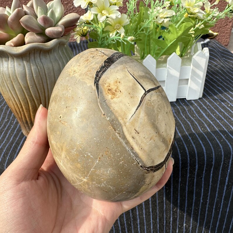 1kg Natural Septarian Dragon Egg,Crystal egg,septarian geode,Home Decoration,energy crystal,Mineral Specimen,Reiki Healing,Crystal Gifts image 6