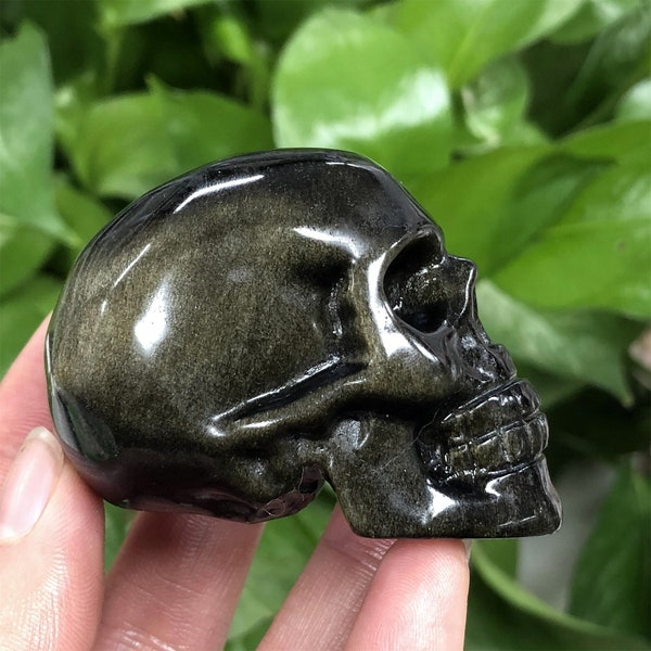 2'' Natural Gold obsidian Crystal skull,Hand Carved Skull,Crystal Skull,Reiki Healing Statue Collection,Mineral Specimen,Home decoration