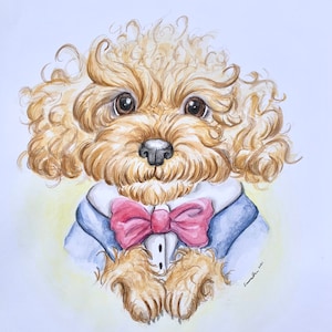 Teddy