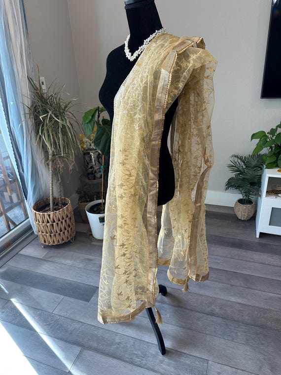 Netted dupatta in gold and silver with embroidery | netted duppatta embroidery work online shopping usa | netted shawls | netted chunni