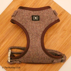 Peaky Paws Berry Red Herringbone Tweed Dog Harness