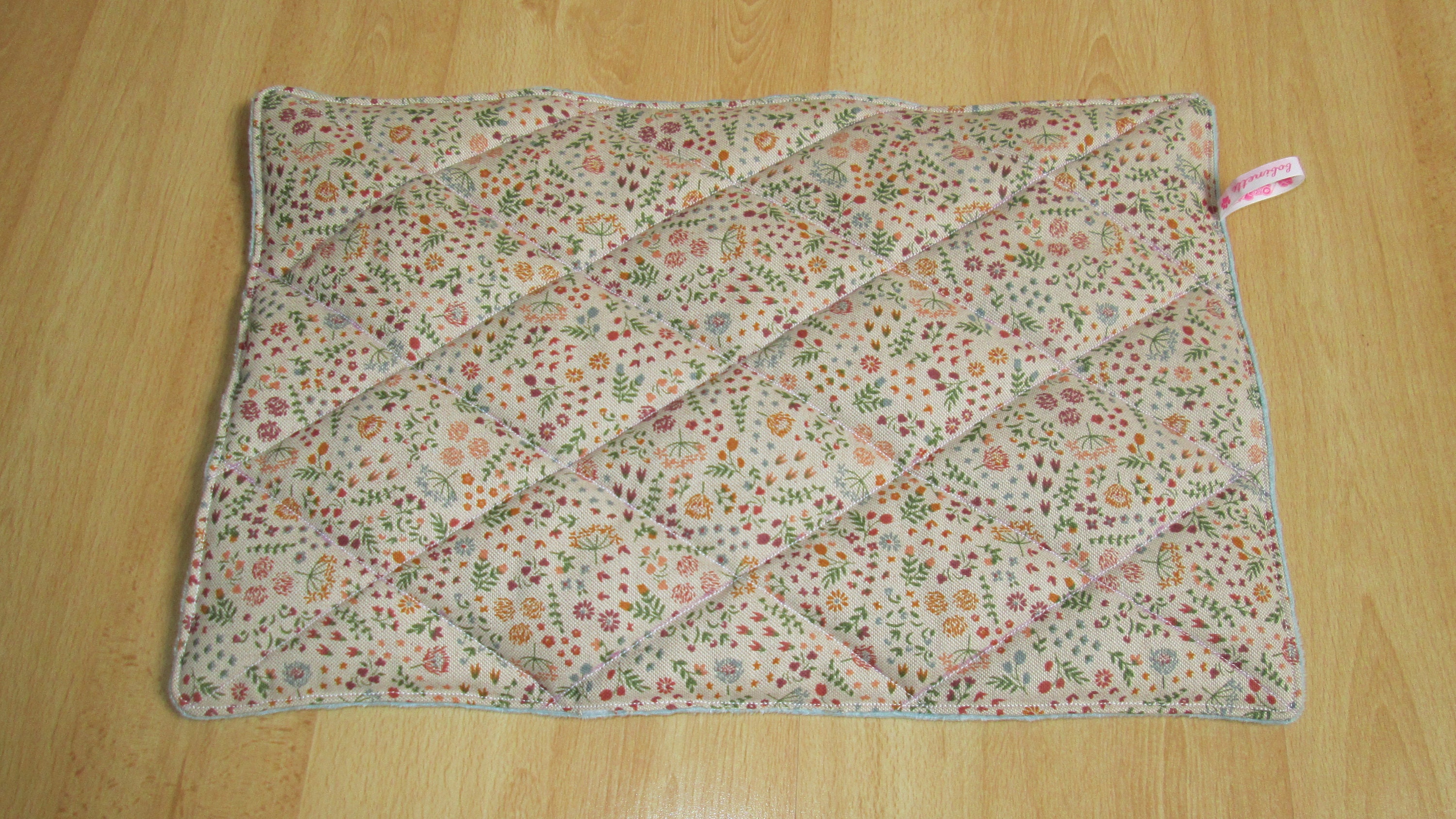 Tapis Pour Caisse de Transport Chat avec Herbe à Chat