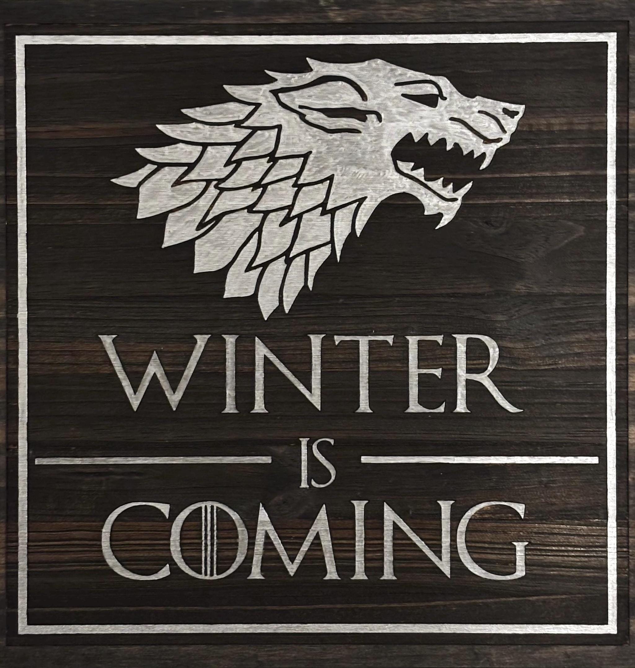 B&S Boutique Winter Is Coming Wolf Stark Got T-Shirt Maglietta Grigio per Uomo Size S